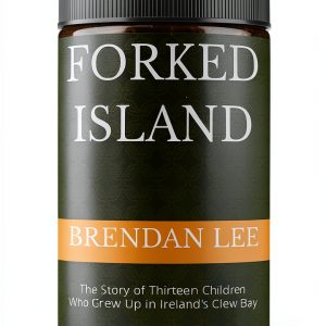 Amazon Kindle Travel Guide Ireland-0