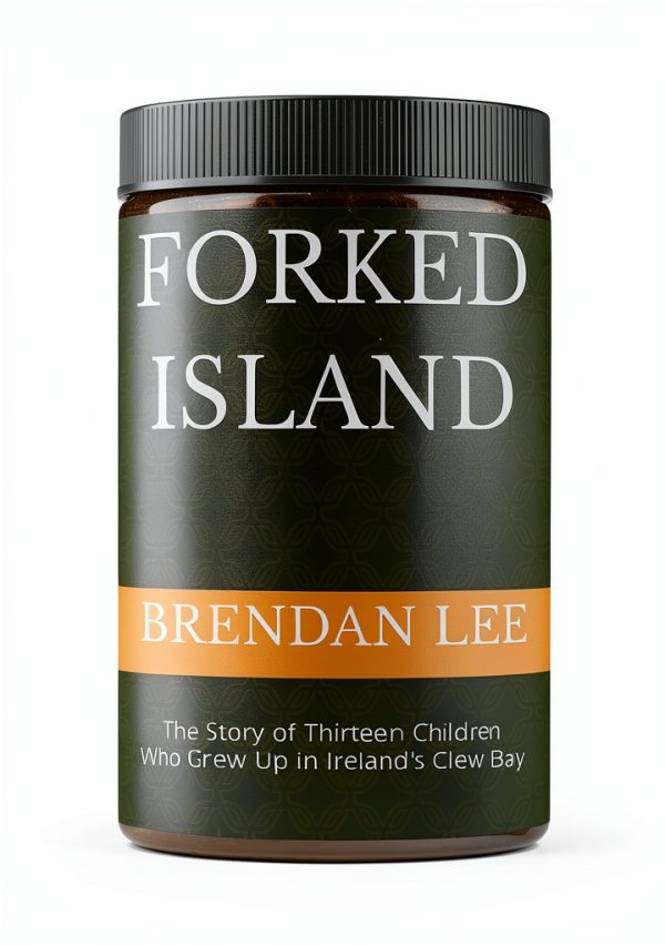 Amazon Kindle Travel Guide Ireland-0