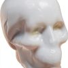 Andale Skateboards Skateboard Wax for Beginners-2